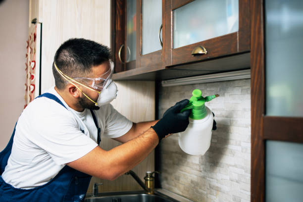 Best Best Pest Control Companies  in Milford, NE