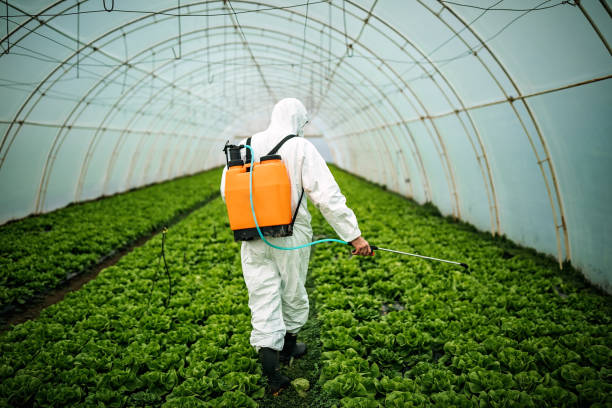 Best Mosquito Control Services  in Milford, NE