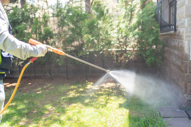 Trusted Milford, NE Pest Control Experts