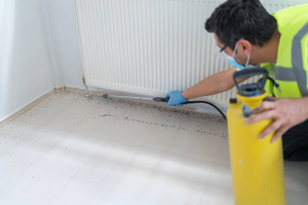 Best Pest Inspection Near Me  in Milford, NE