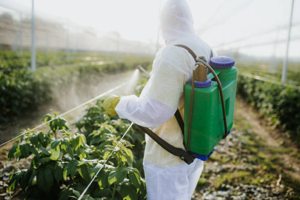 Best Best Pest Control Companies  in Milford, NE